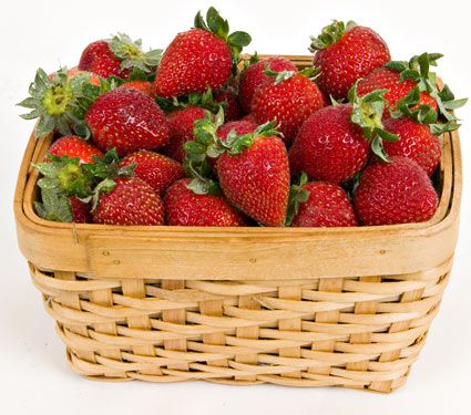 Strawberry Patch