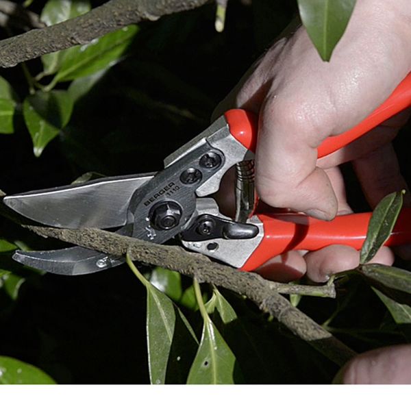 Premium Gardening Pruners White Flower Farm