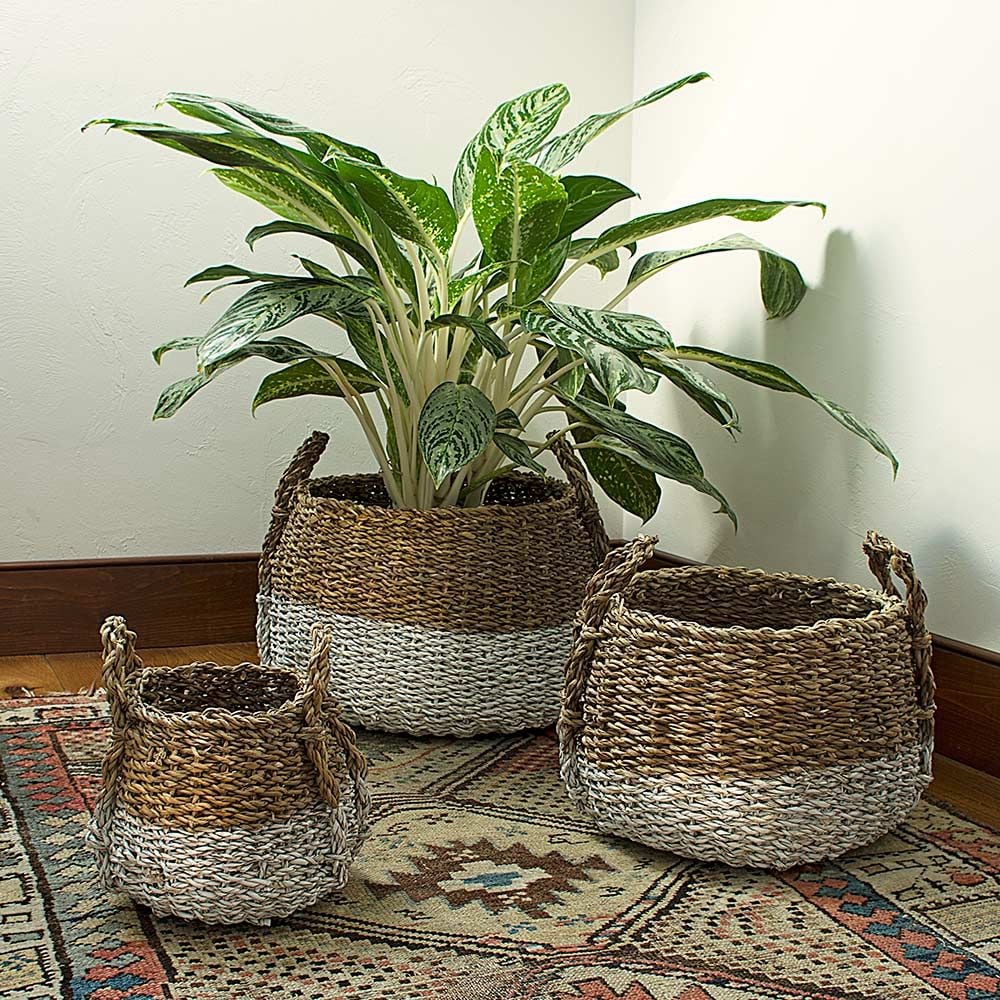 Seagrass Basket | White Flower Farm