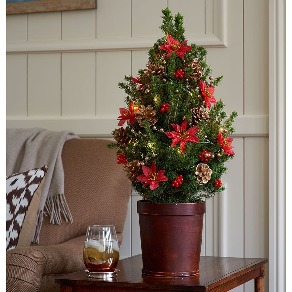 Holiday Blooms Tabletop Tree White Flower Farm
