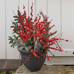  Winterberry Stems (set of 4 stems)