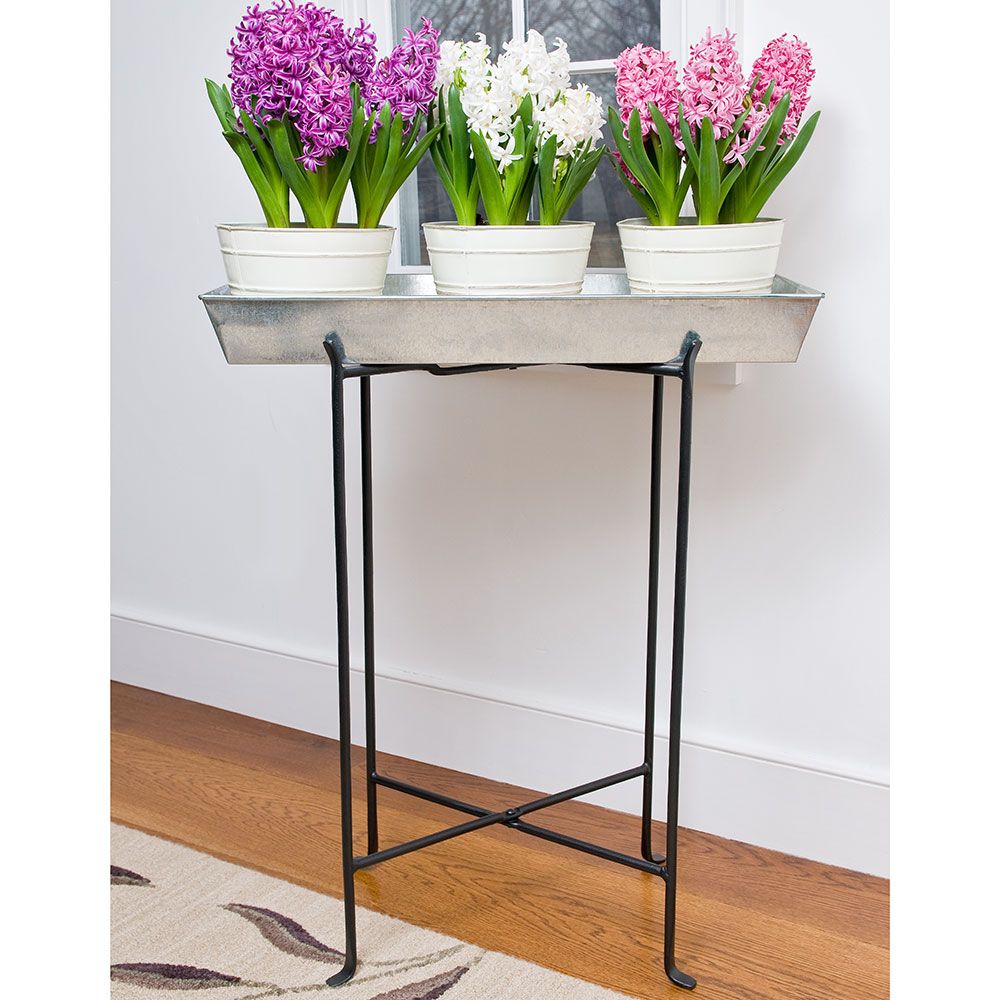 Galvanized Trestle Plant Stand White Flower Farm