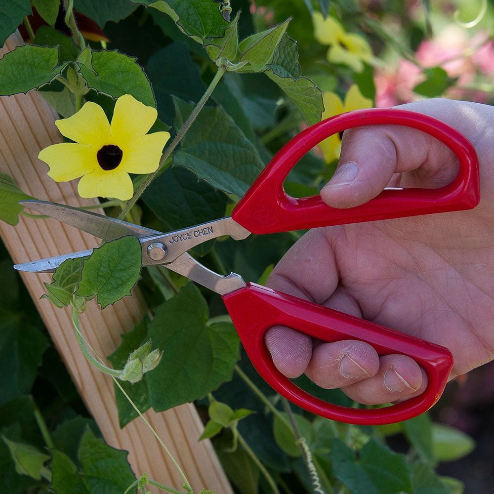 6.5 Deluxe Horticulture Joyce Chen Type Scissors with Yellow Handle