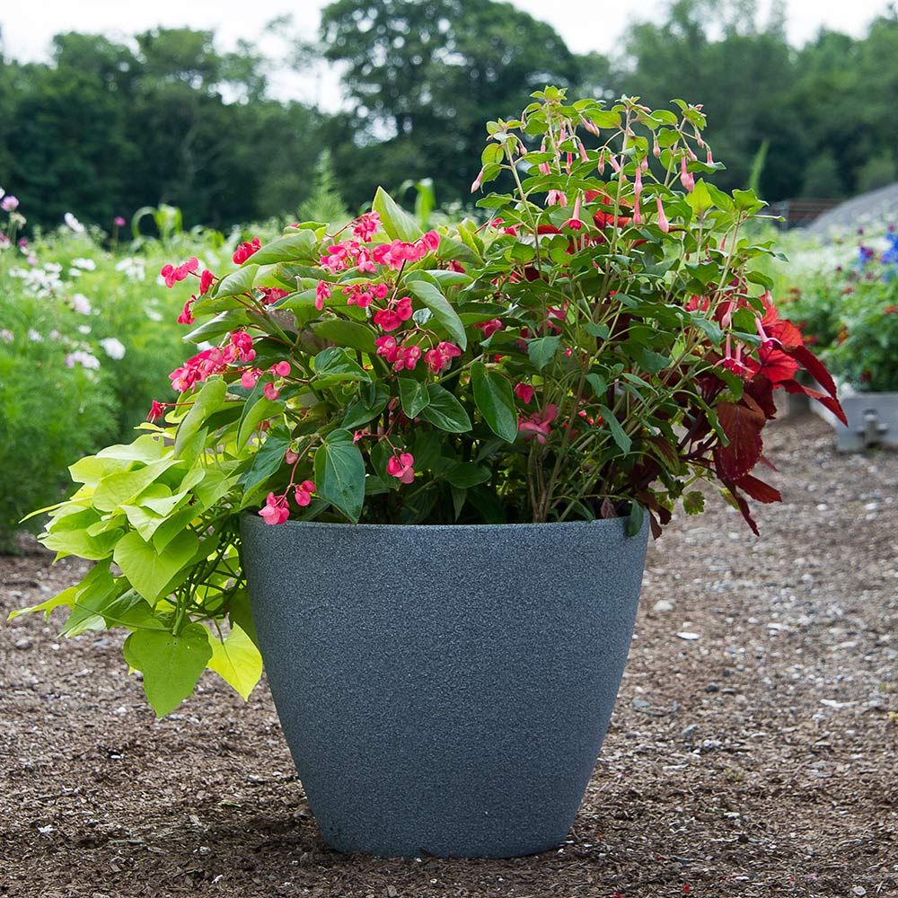 Portobello Planter White Flower Farm