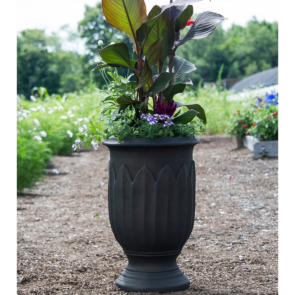 Tall Bronze Urn White Flower Farm