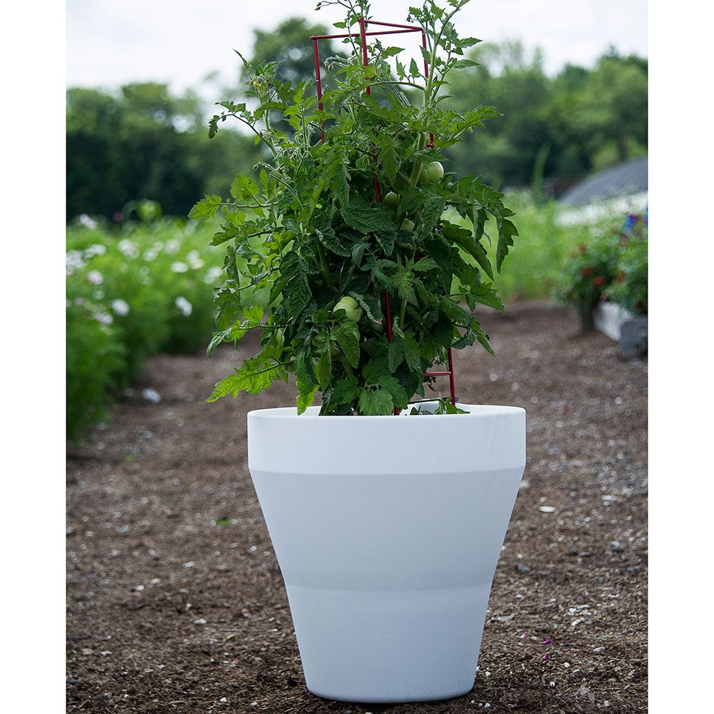 Sausalito Self-Watering Container