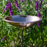  Kerala Birdbath