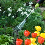  Adjustable Rake