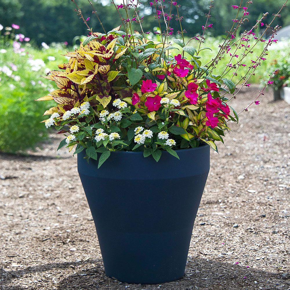 Sausalito Self-Watering Container