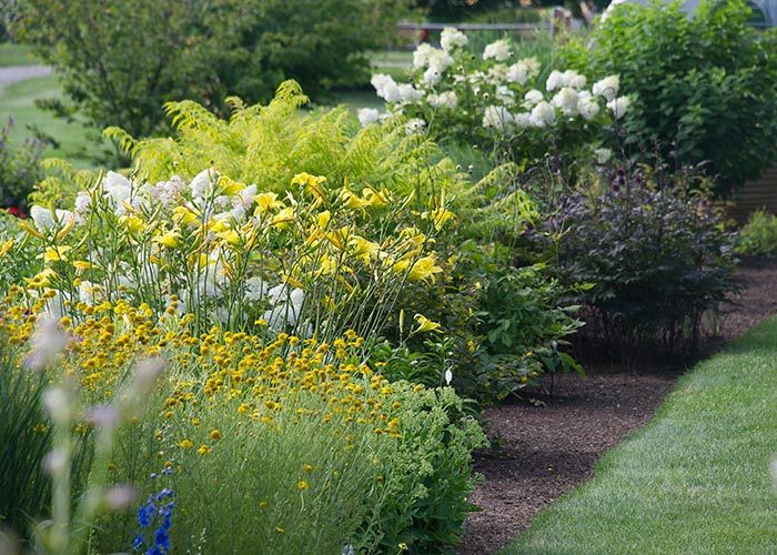 Refer A Friend White Flower Farm