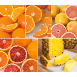  Five Months of Fruit, Five 10-lb boxes, December - April