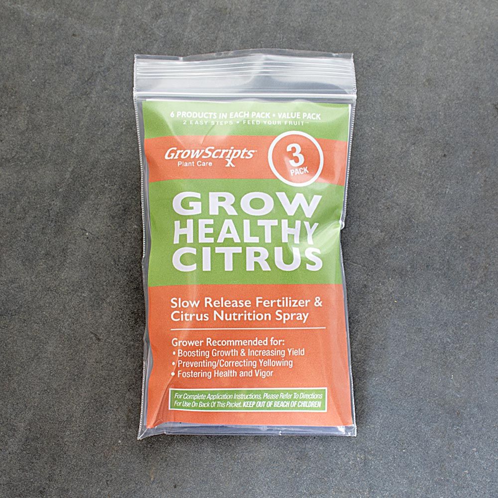 Citrus Fertilizer, 3 pack - Standard Shipping Included