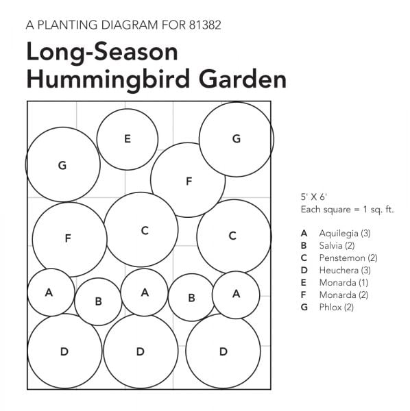 LongSeason Hummingbird Garden White Flower Farm