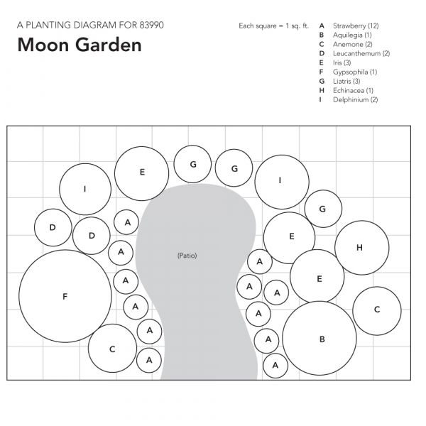 Moon Garden White Flower Farm