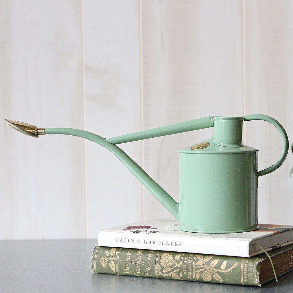 Indoor Watering Cans White Flower Farm