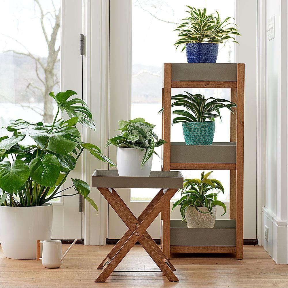 Plant tray shop table