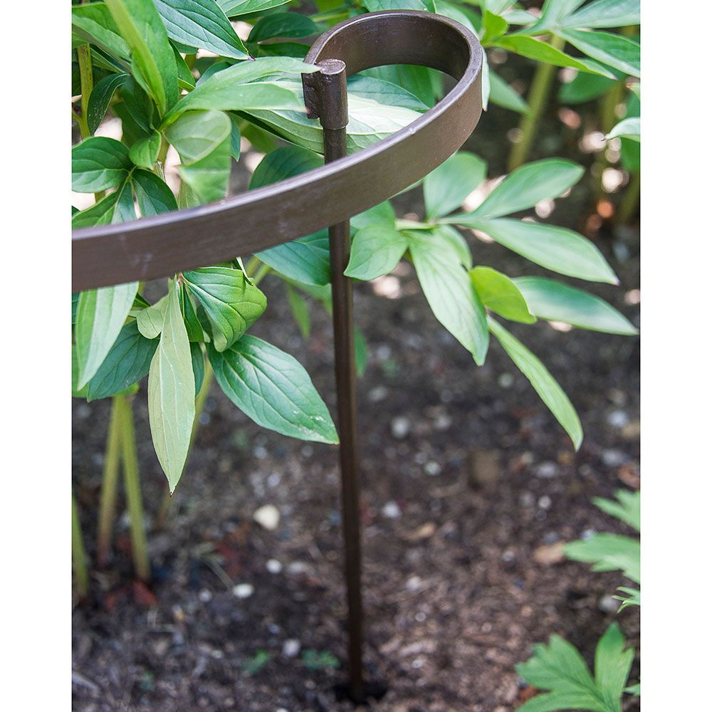 Iron Plant Support Stake at Michael Reddick blog