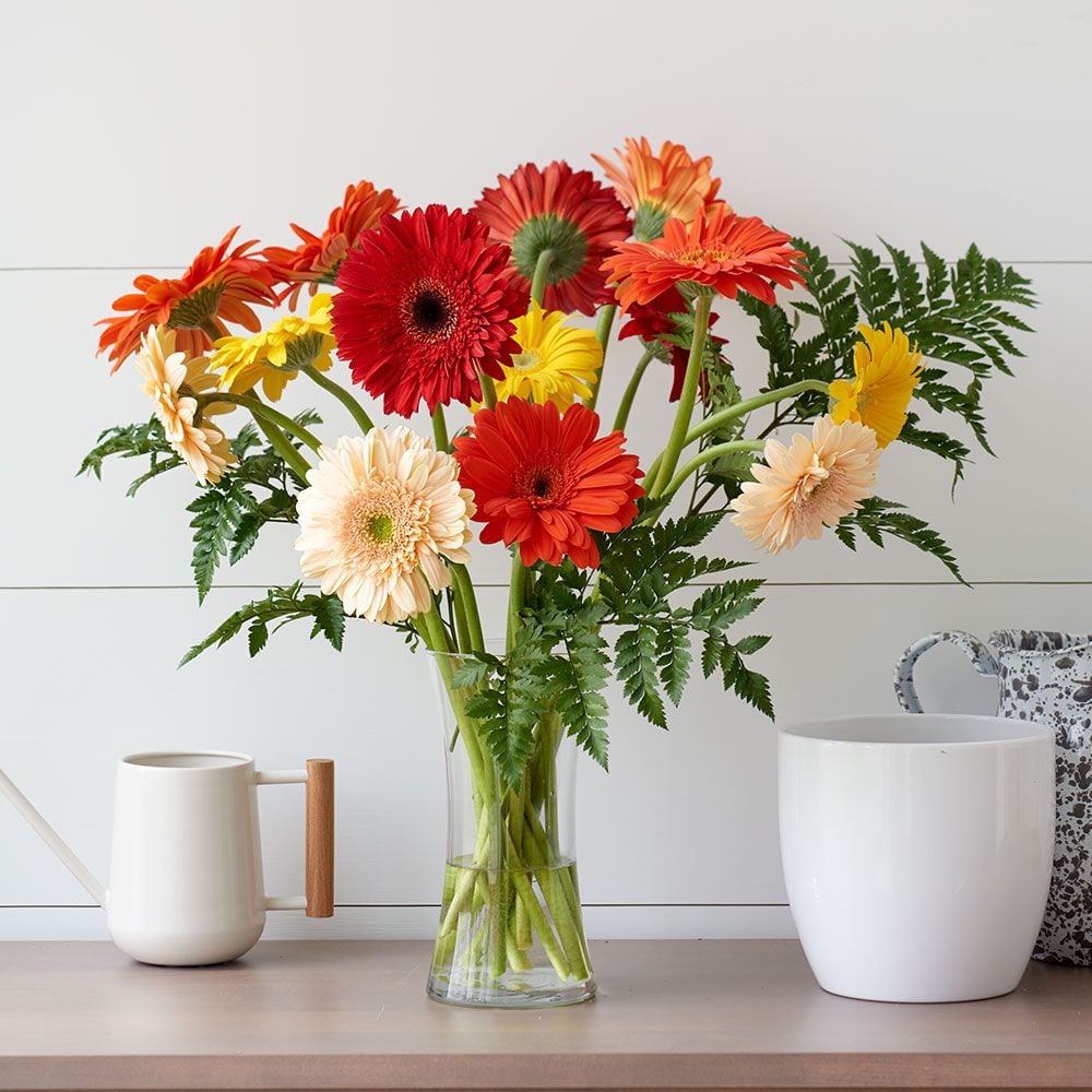 Tropical Breeze Gerbera Daisy Bouquet