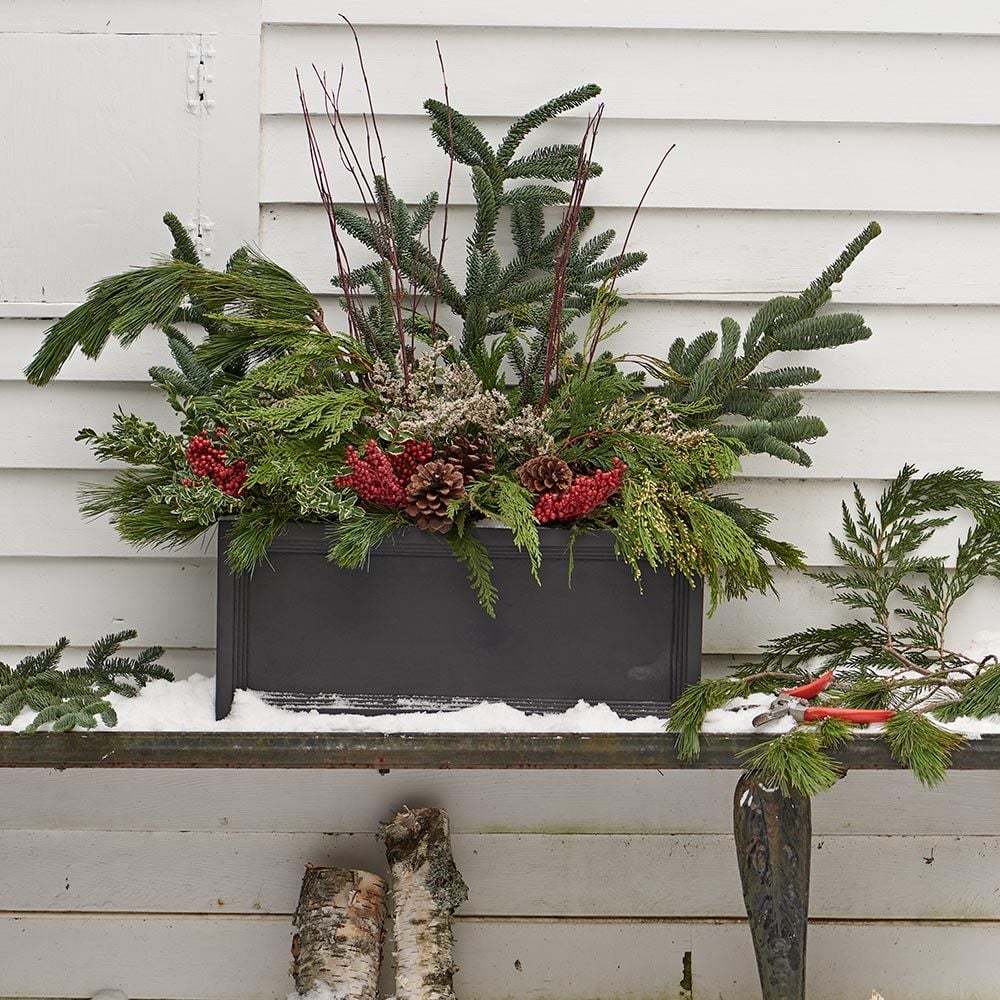Holiday Greens Decorating Kit, 14lb Box