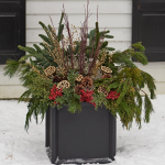  Holiday Greens Decorating Kit, 14lb Box