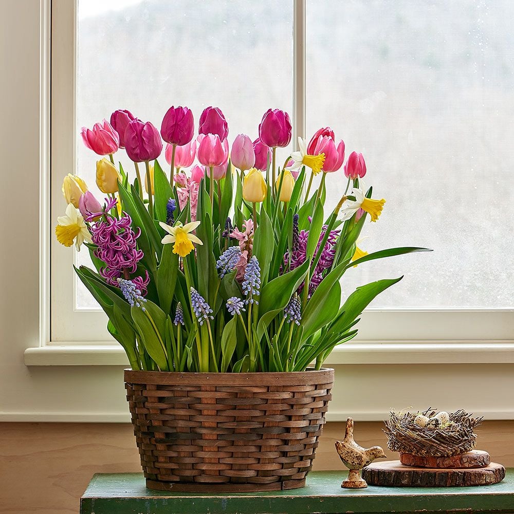 Pastel Parade Bulb Collection in X-large woven basket