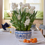  Fresh Snow Bulb Collection in large ceramic bowl