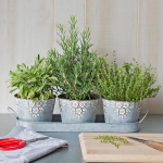  Cook's Herb Trio in embossed pots
