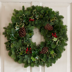  Holly & Greens 24