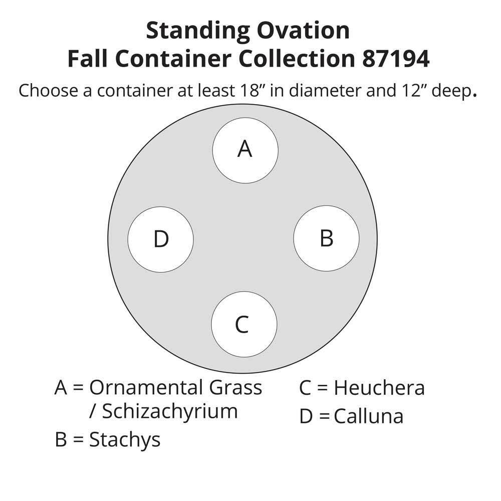 Standing Ovation Fall Container Garden White Flower Farm