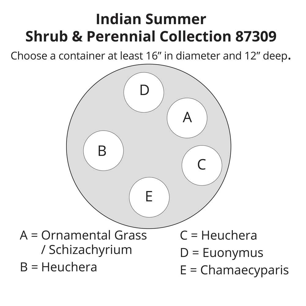 Indian Summer Shrub & Perennial Collection White Flower Farm