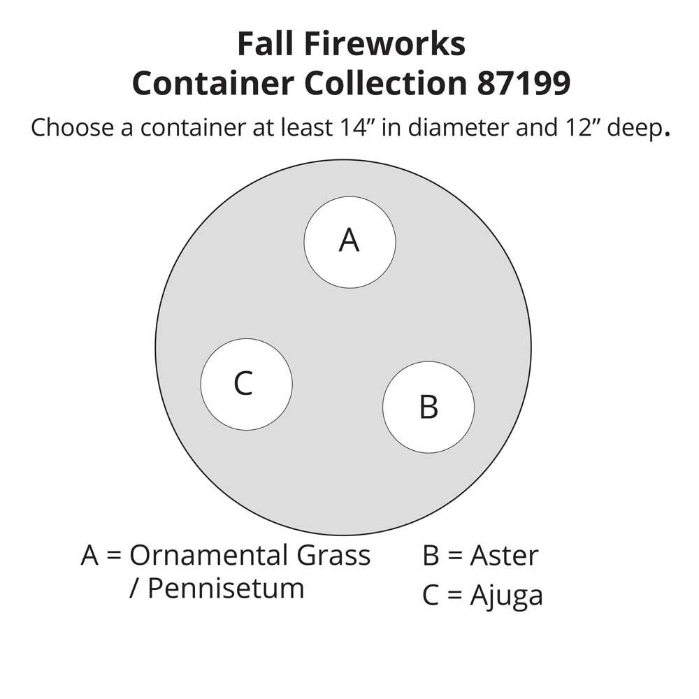 Fall Fireworks Collection White Flower Farm