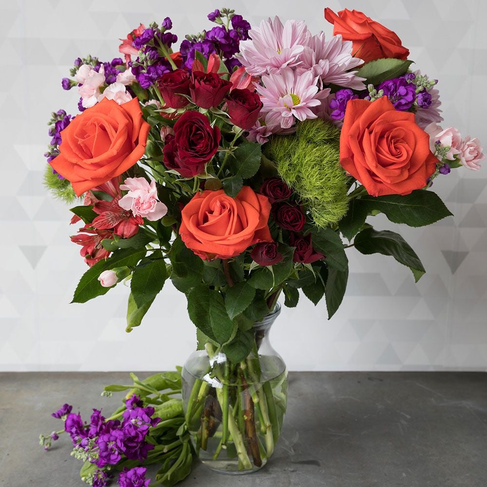 Image of Hibiscus arborescens flowers in vase