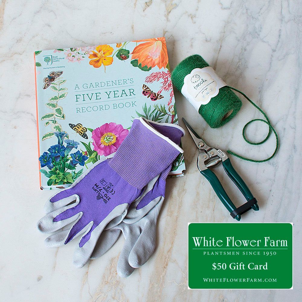 Add a 50 Gift Card to Your Bouquet or Gift Set for Just 25 White