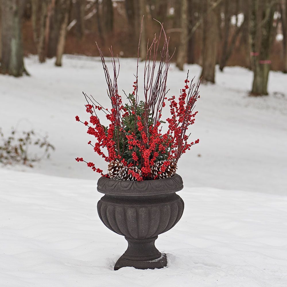 Winter Containers