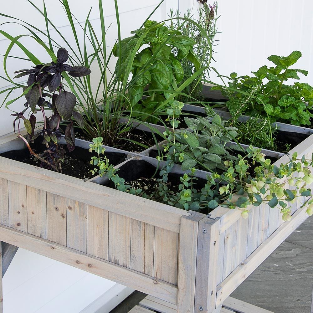 Herb Planter with dividers | White