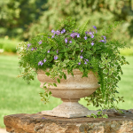  Milano Urn