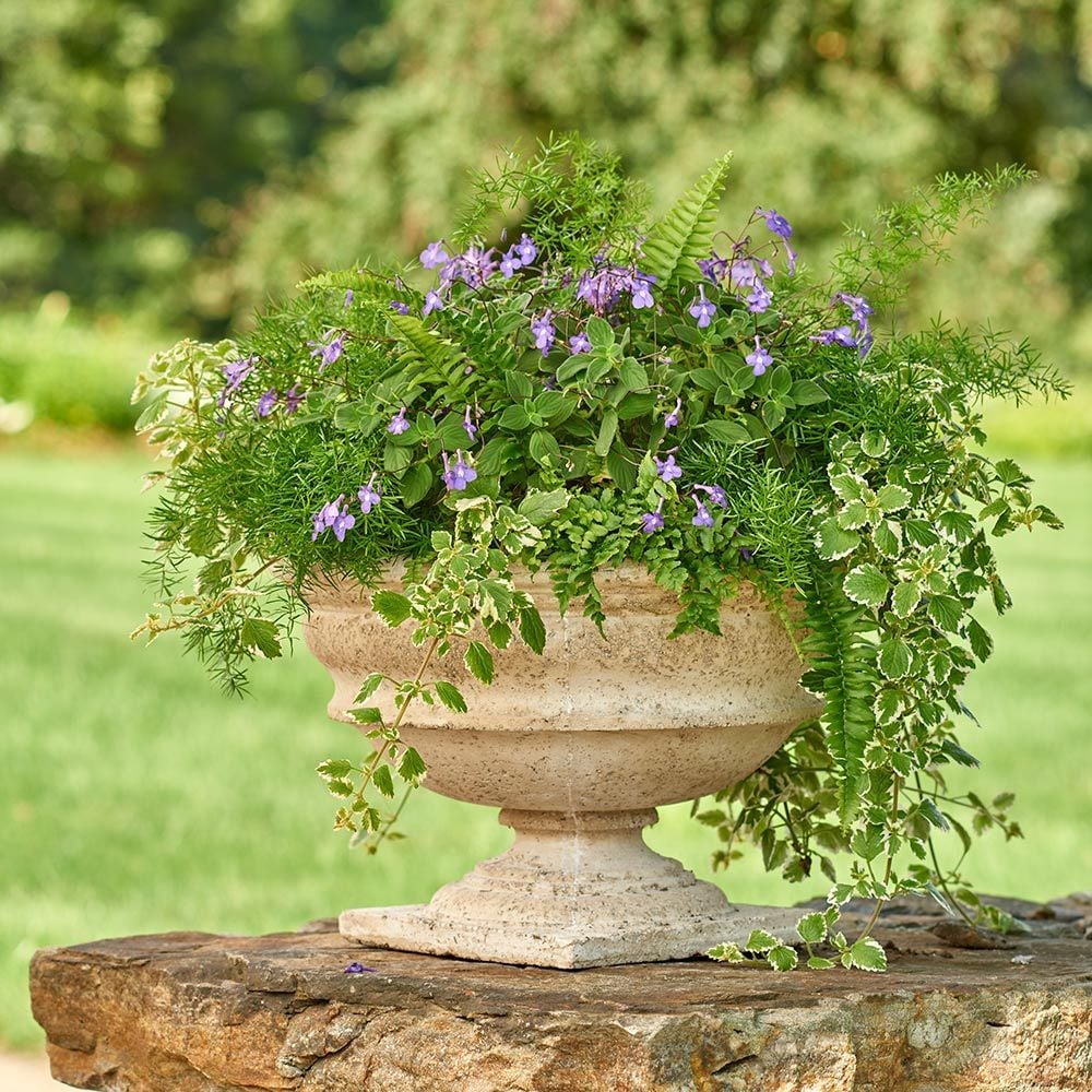 Milano Urn