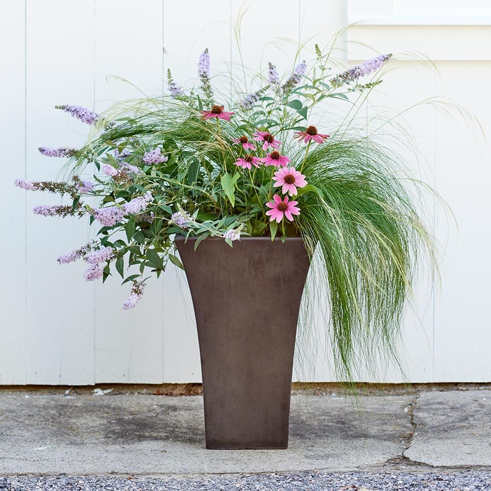 Breezy Meadow Container Garden