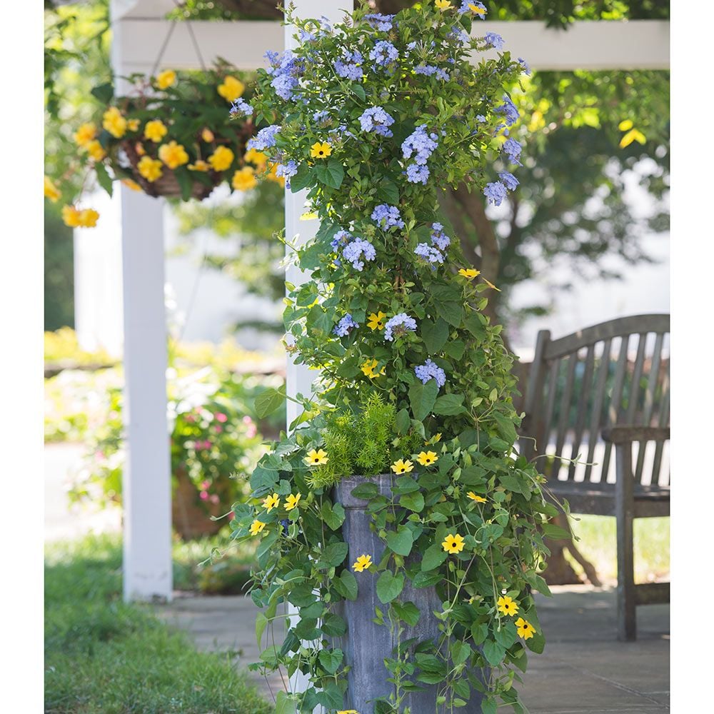 Tower of Flowers Container Garden