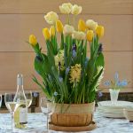  Rotterdam Bulb Garden in large wooden basket