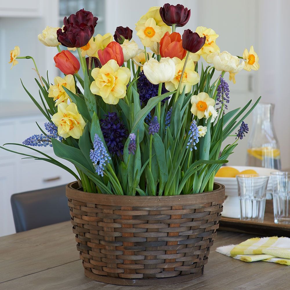 Sunday Brunch Bulb Garden in X-large woven basket