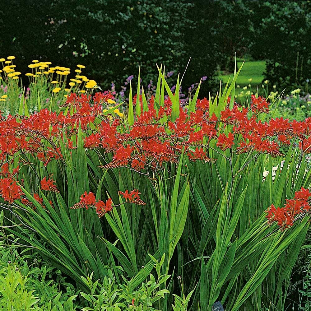 at home store plant stands
