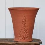  RHS Foxglove Flowerpot