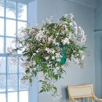 Jasmine