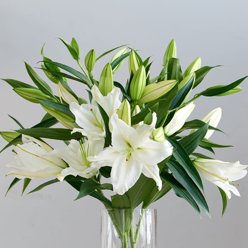 lily bouquet