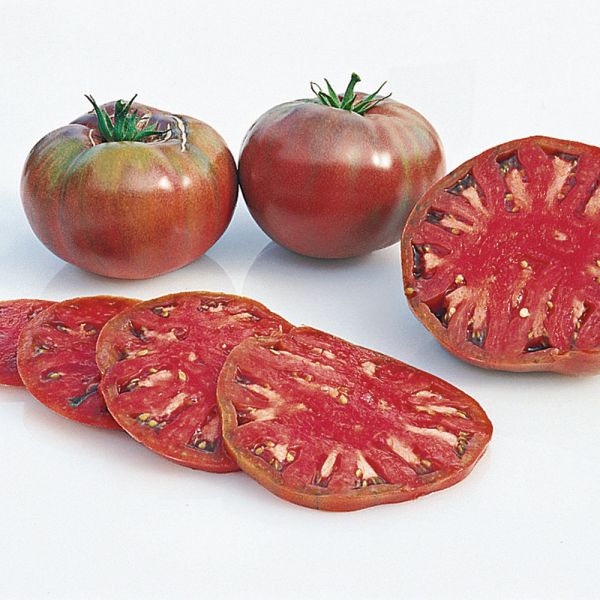 Staff Favorites Tomato Collection 6 plants White Flower Farm