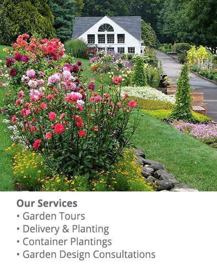 Visit White Flower Farm Plant Nursery White Flower Farm