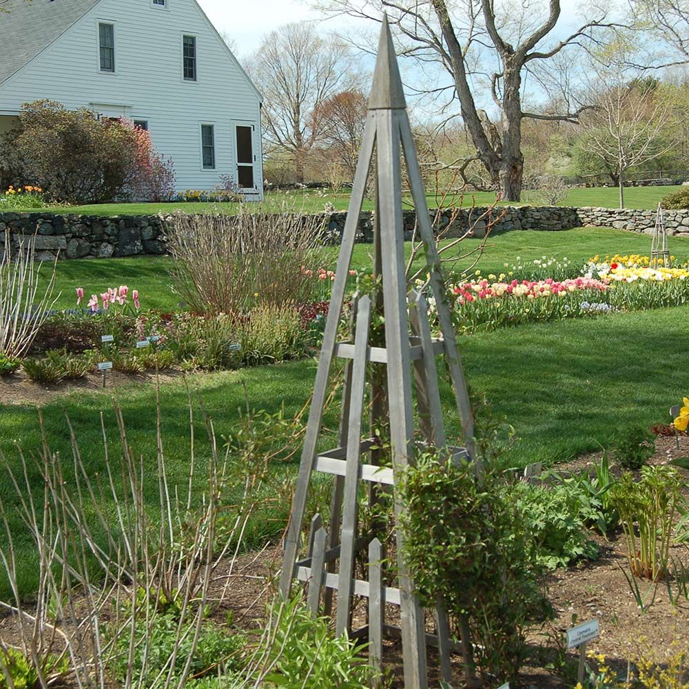 Cedar Tuteur | White Flower Farm