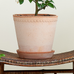 Rosa Cottage Pot and Saucer 10