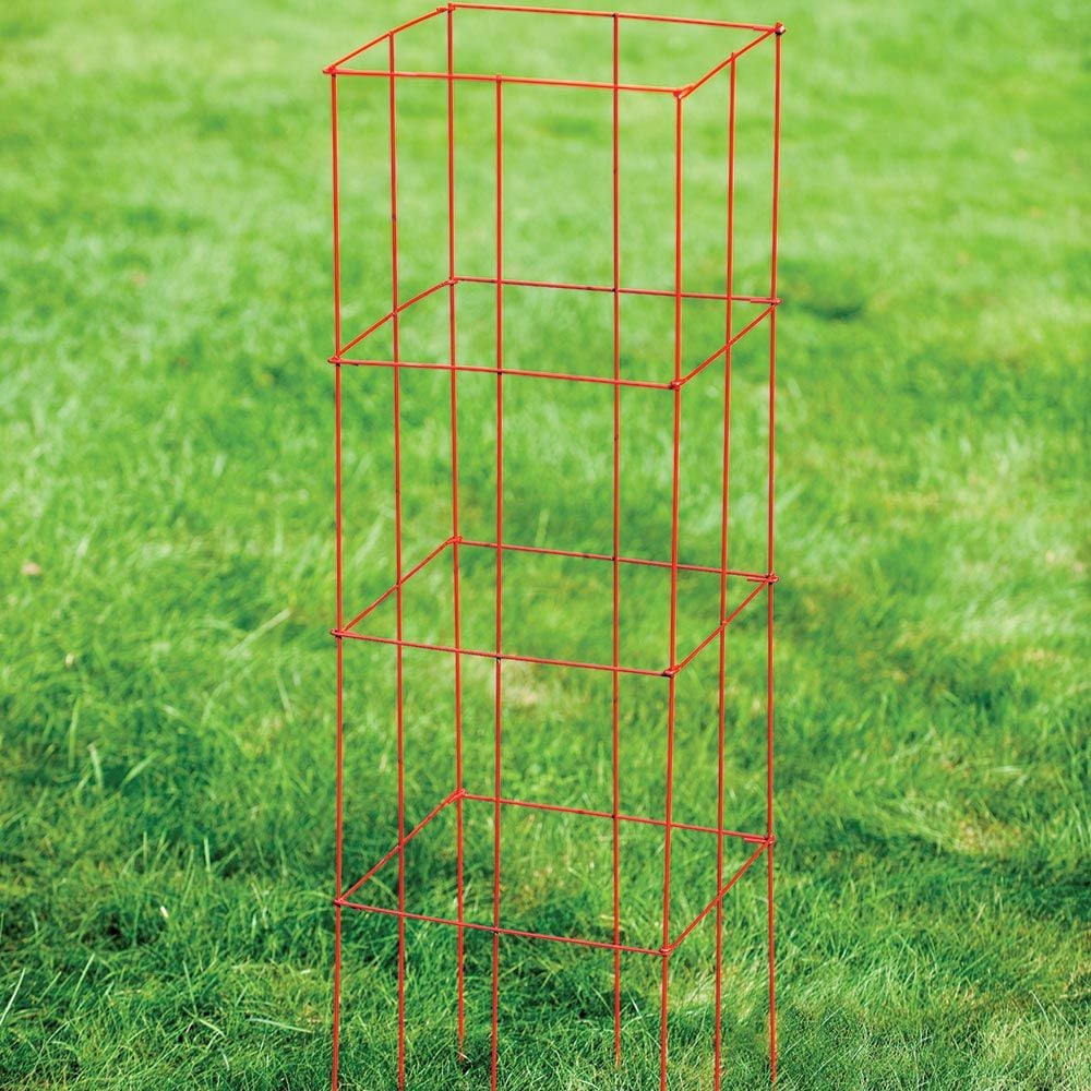 Collapsible Tomato Cage,  set of 3